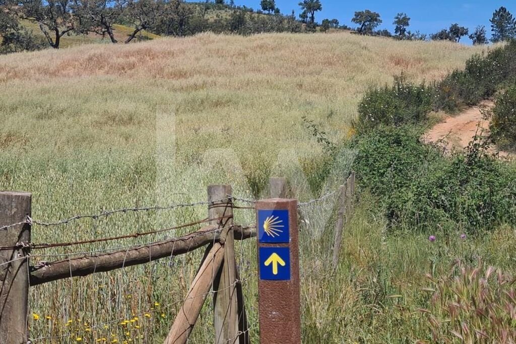 Land in Reliquias, Beja District, Portugal 5 - 15762823