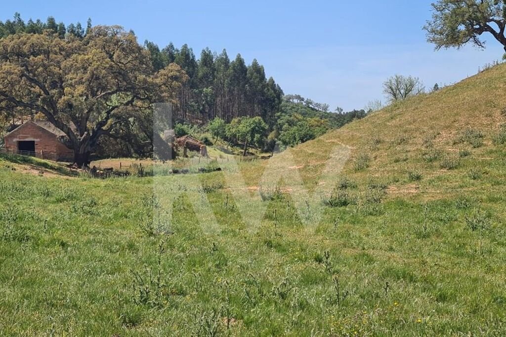 Land in Reliquias, Beja District, Portugal 3 - 15762823