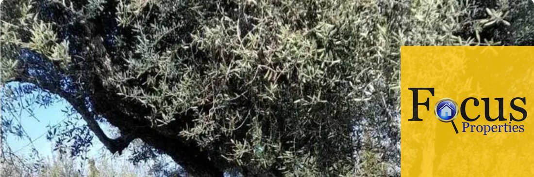 Land in Voula, Attica, Greece 2 - 15761228