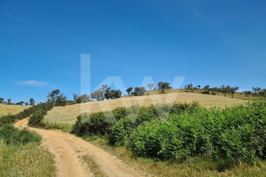 Land in Reliquias, Beja District, Portugal 1 - 15762823