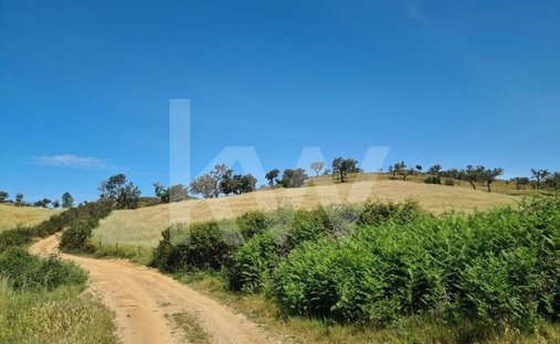 Terrain à Reliquias, Beja, Portugal 1