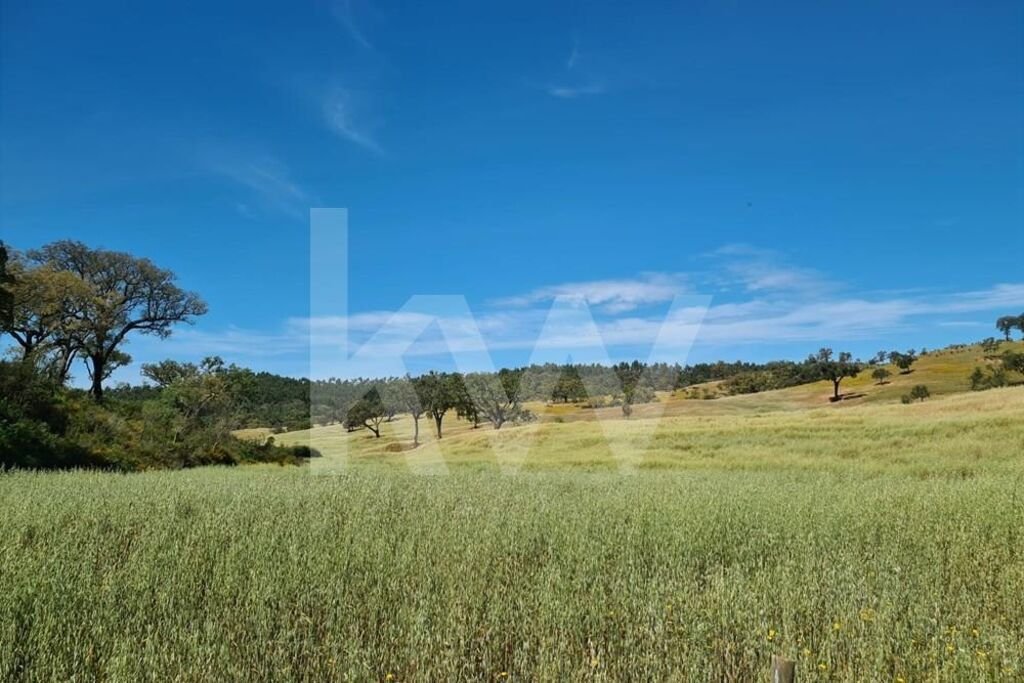 Land in Reliquias, Beja District, Portugal 2 - 15762823