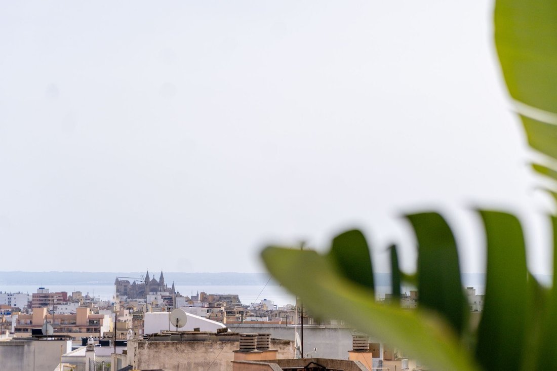 Apartment in Palma, Balearic Islands, Spain 5 - 15760775