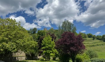 Villa in Pratovecchio, Tuscany, Italy 1