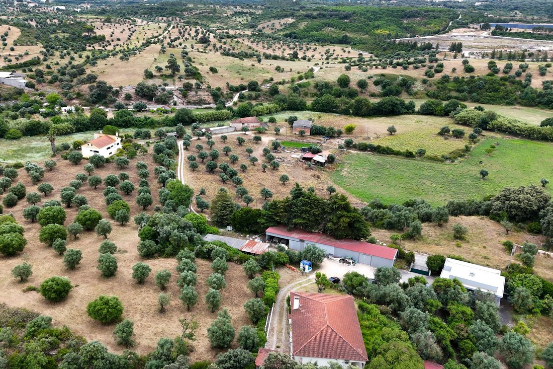 Farm Ranch in Alcanena e Vila Moreira, Santarem District, Portugal 1 - 15765256