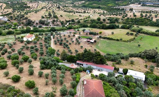 Farm Ranch in Alcanena e Vila Moreira, Santarem District, Portugal 1