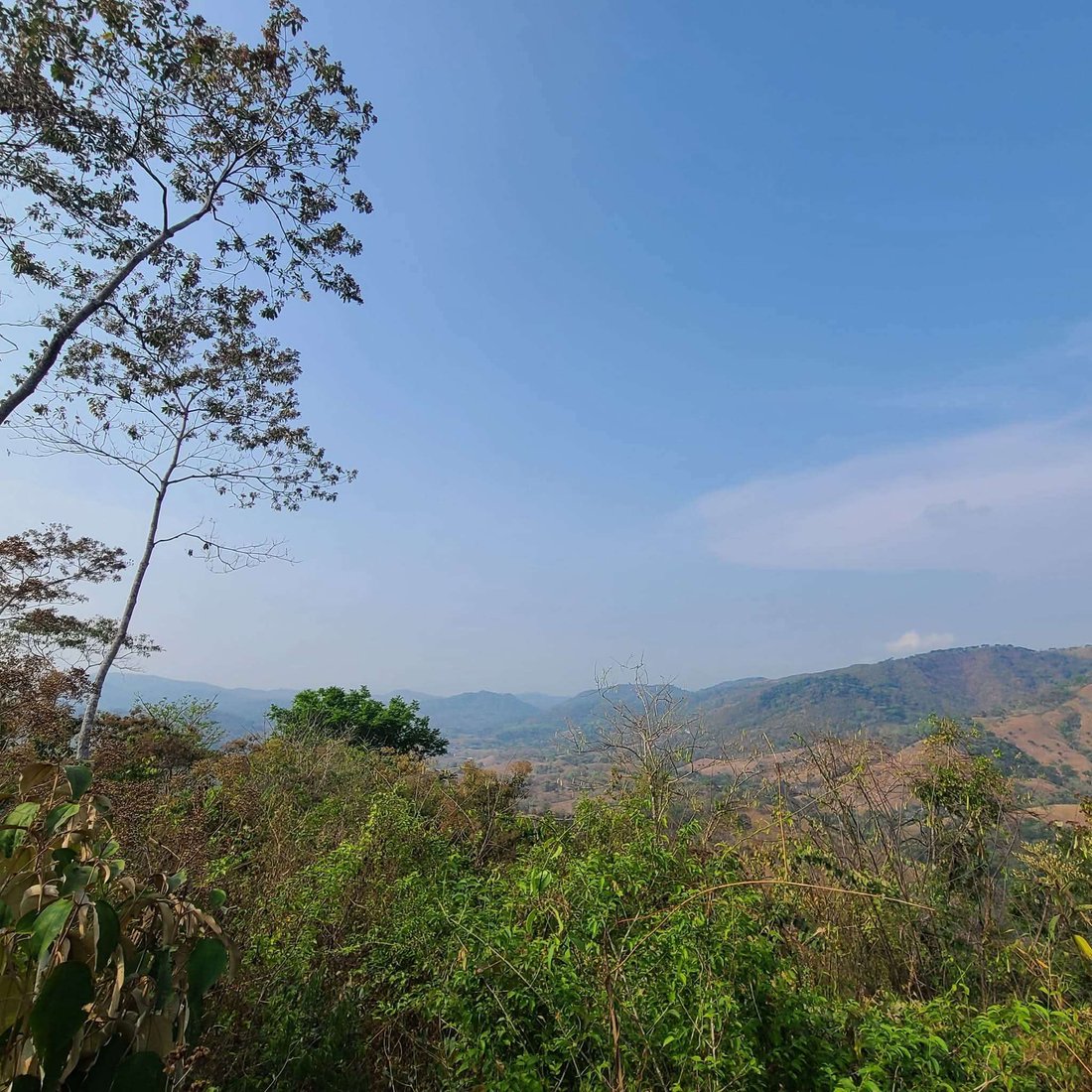 Farm Ranch in Belen, Nicoya, Costa Rica 2 - 15765808