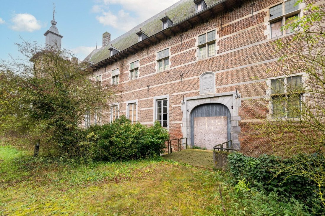 Villa in Tongeren-Borgloon, Flanders, Belgium 4 - 15766893