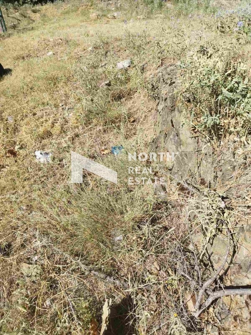 Land in Oraiokastro, Macedonia and Thrace, Greece 2 - 15763470
