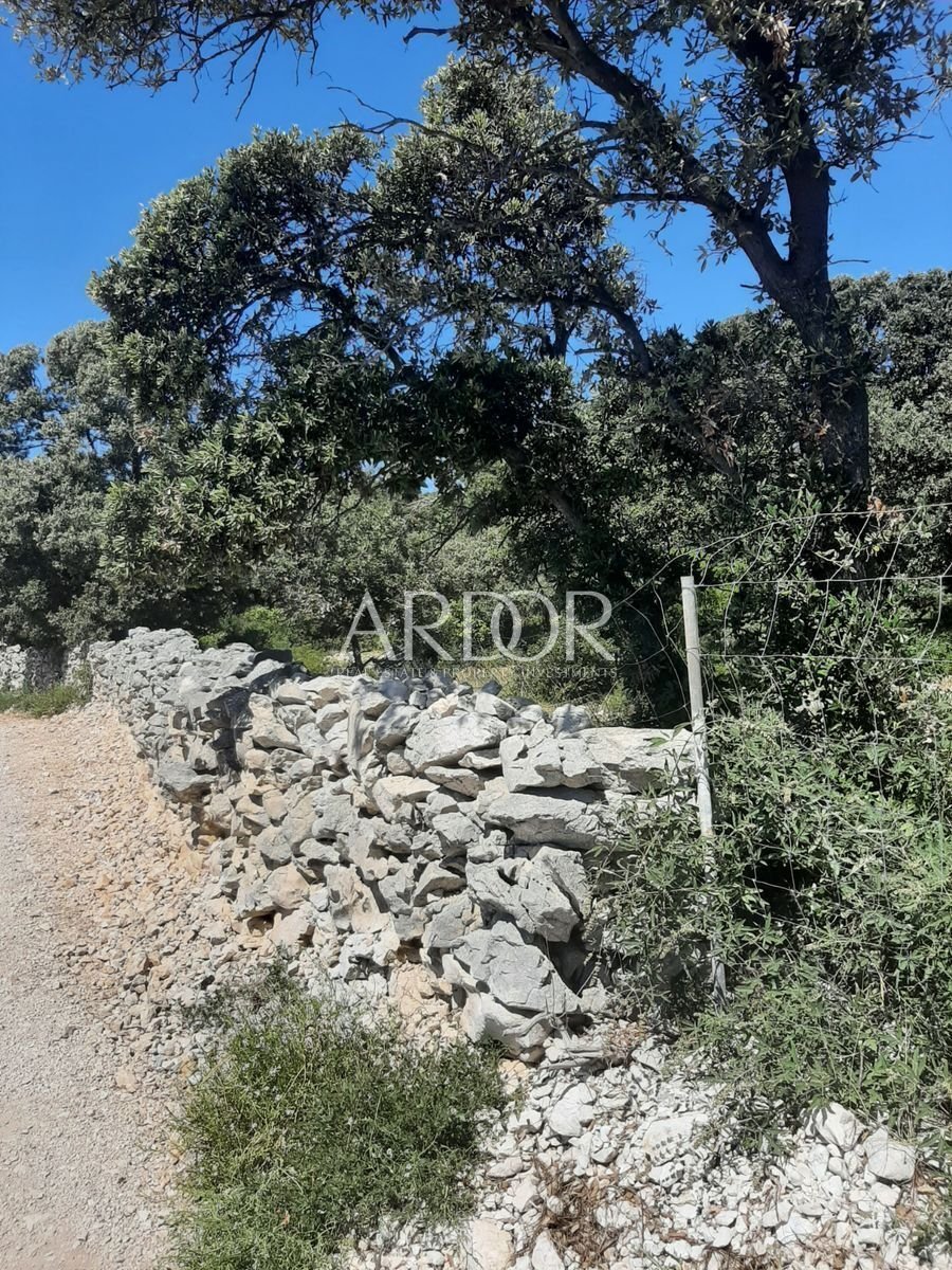 Land in Novalja, Croatia 1 - 15767769