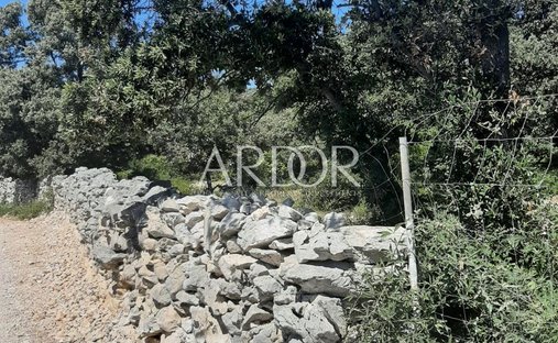 Terreno a Novaglia, Croazia 1