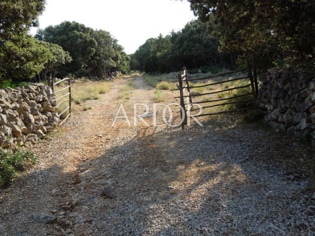 House in Punta Kriza, Primorje-Gorski Kotar County, Croatia 4 - 15767911