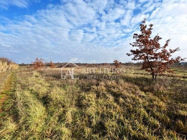 Land in Umag, Istria County, Croatia 3 - 13541532