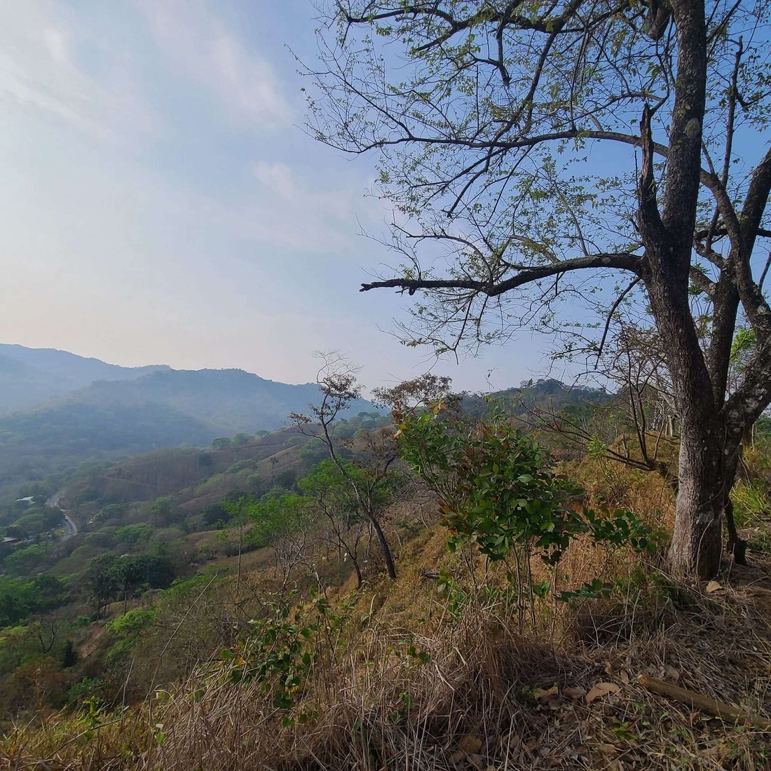 Farm Ranch in Belen, Nicoya, Costa Rica 3 - 15765808