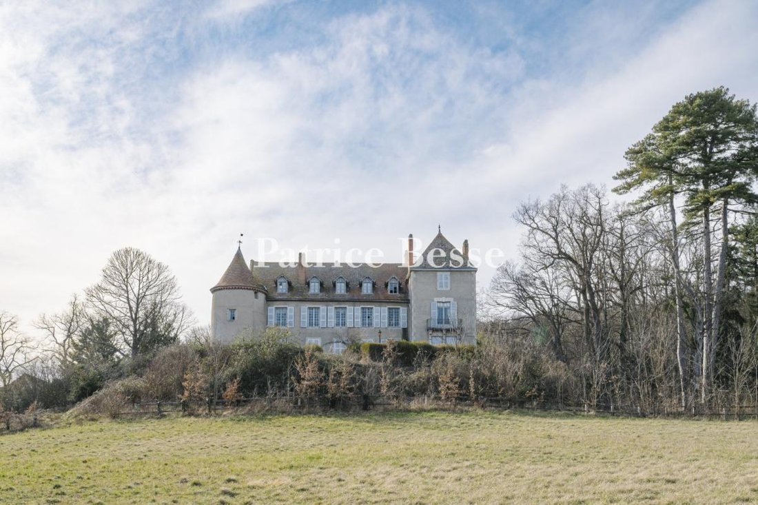Whispers of the Limagne: A 19th-Century Hilltop Manor in Vichy’s Golden Light