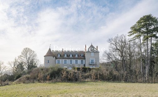 Castle in Marche, Vichy, France 1