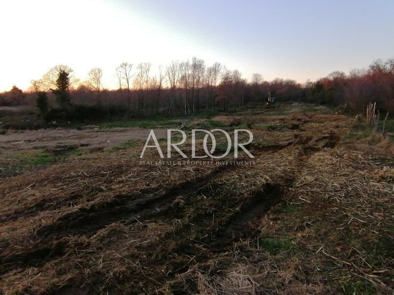 Terreno a Tar, Regione istriana, Croazia 4 - 15767506