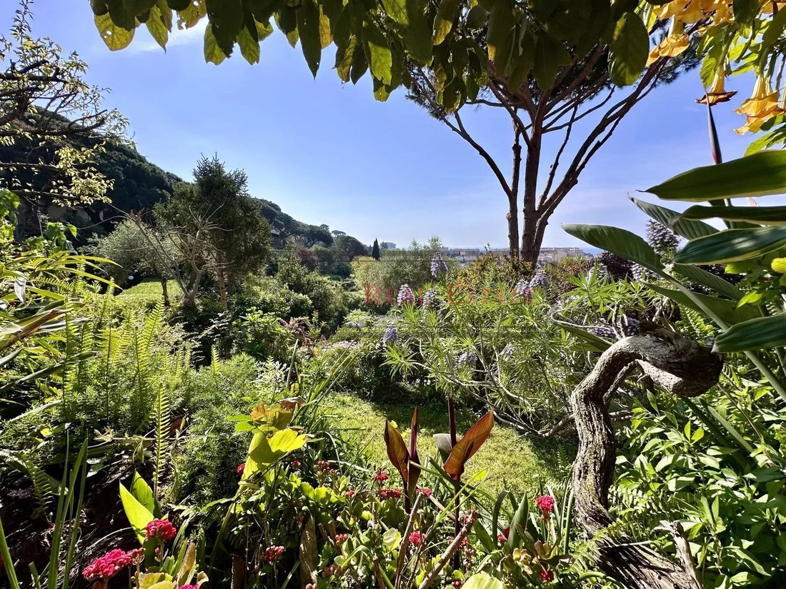 Villa in Font de Veyre, Cannes, France 5 - 15583546