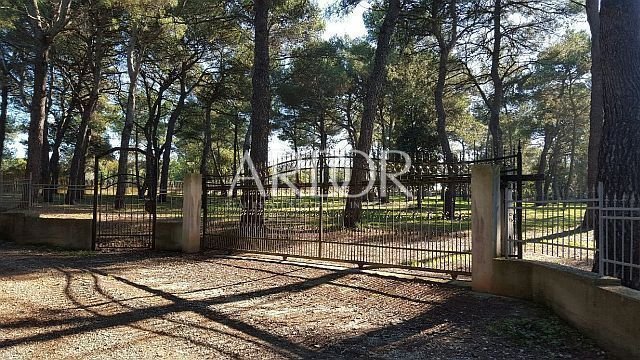Land in Rovinj, Istria County, Croatia 1 - 15767906