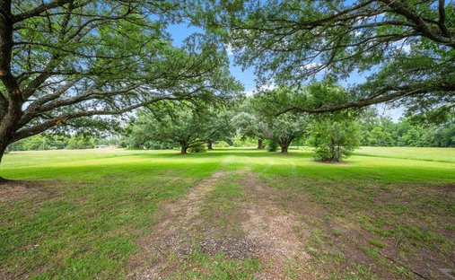 Terreno a Baton Rouge, Louisiana, Stati Uniti 1
