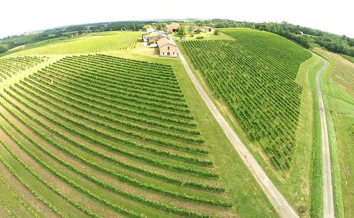 Farm Ranch in Sauveterre-de-Guyenne, Nouvelle-Aquitaine, France 1