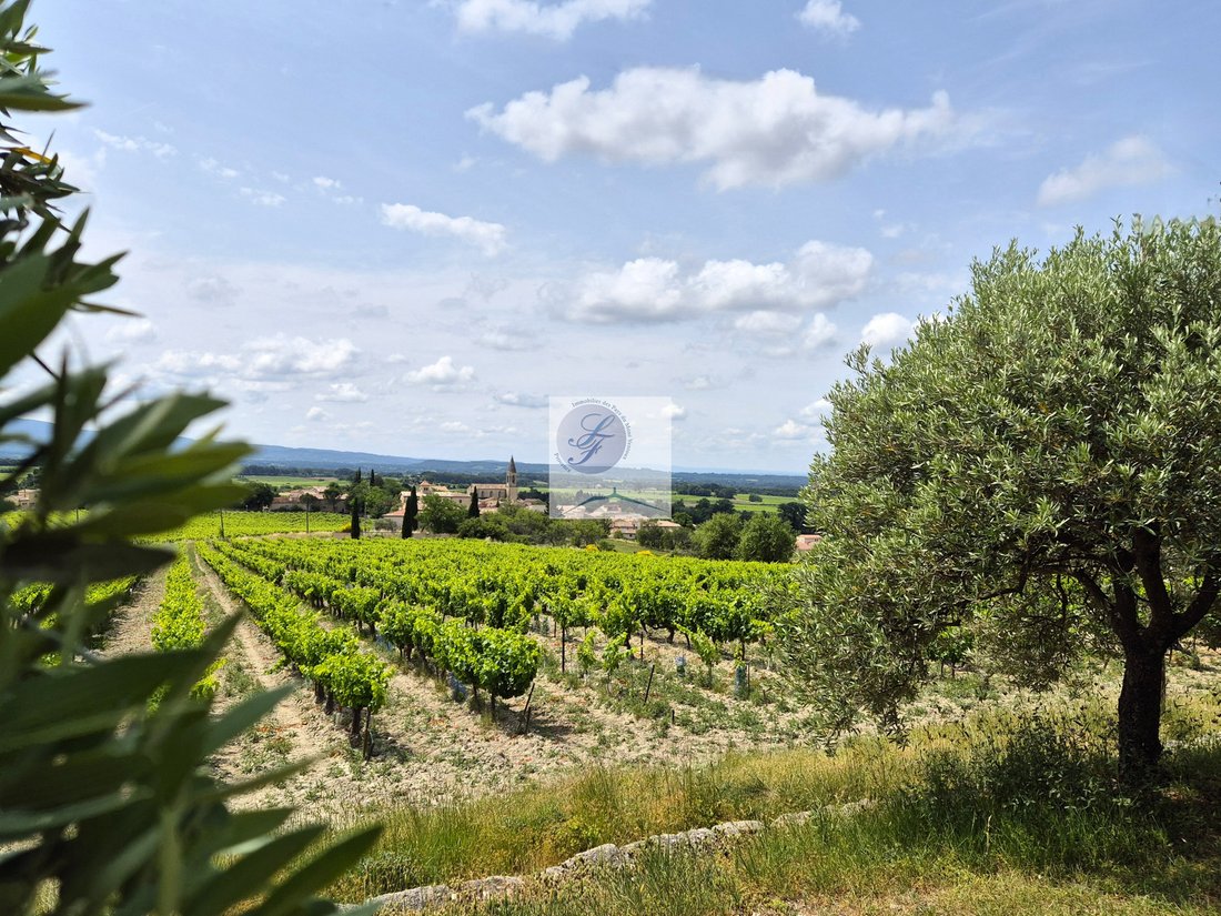 Villa in Saint-Pierre-de-Vassols, Provence-Alpes-Côte d'Azur, France 5 - 15763726