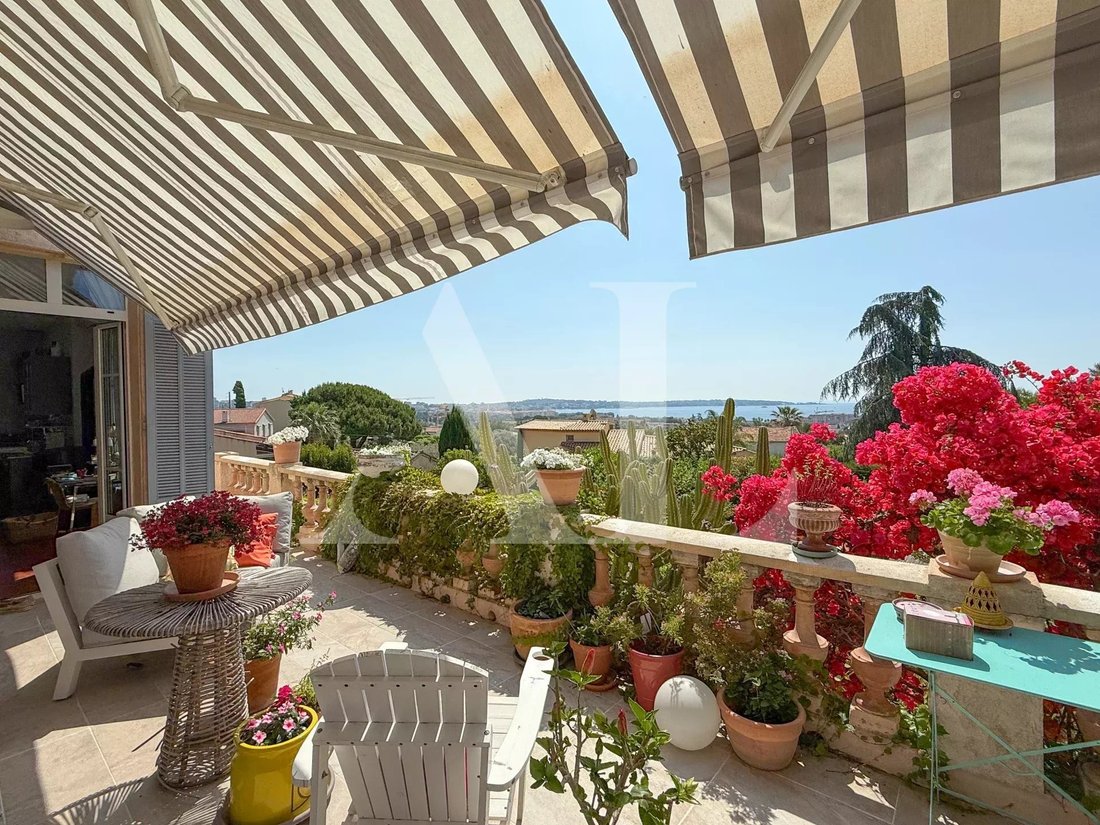 Villa in Les Paluds-Lauvert, Vallauris, France 5 - 15764252