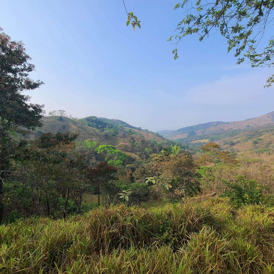 Farm Ranch in Belen, Nicoya, Costa Rica 4 - 15765808