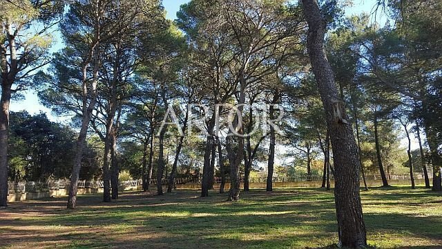 Land in Rovinj, Istria County, Croatia 5 - 15767906