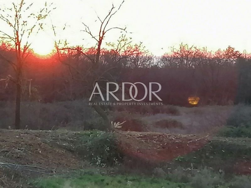 Terreno a Tar, Regione istriana, Croazia 5 - 15767506