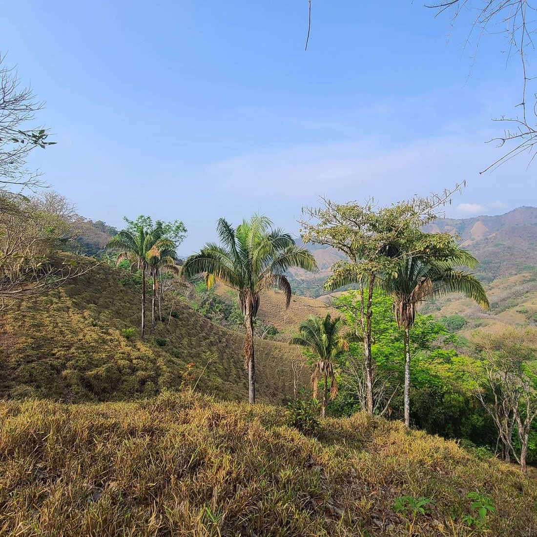 Farm Ranch in Belen, Nicoya, Costa Rica 5 - 15765808