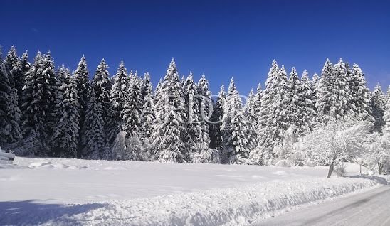 Land in Mrkopalj, Primorje-Gorski Kotar County, Croatia 1 - 15767826