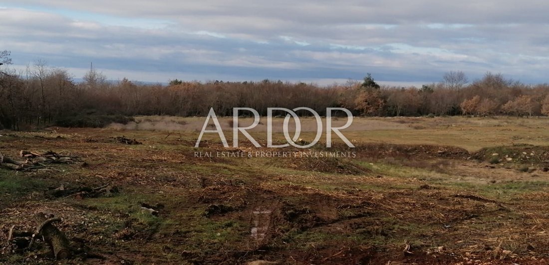 Terreno a Tar, Regione istriana, Croazia 1 - 15767506