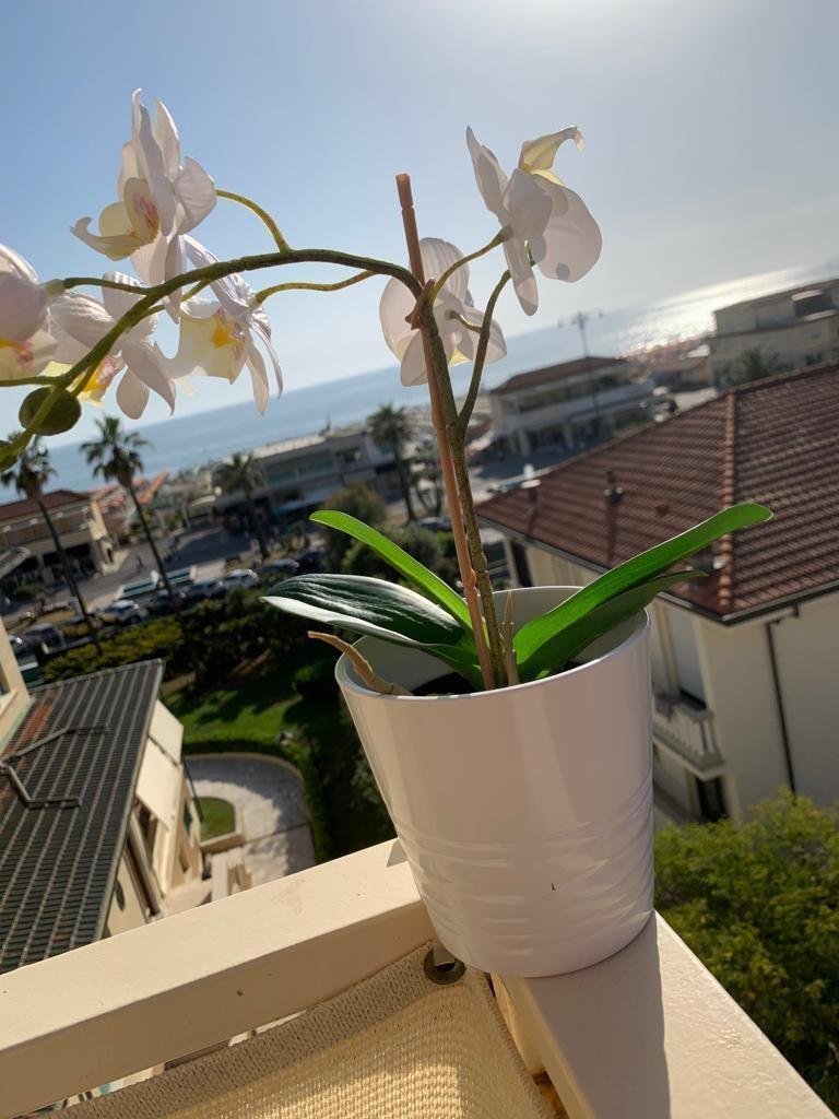 Apartment in Lungomare, Viareggio, Tuscany 2 - 15765457