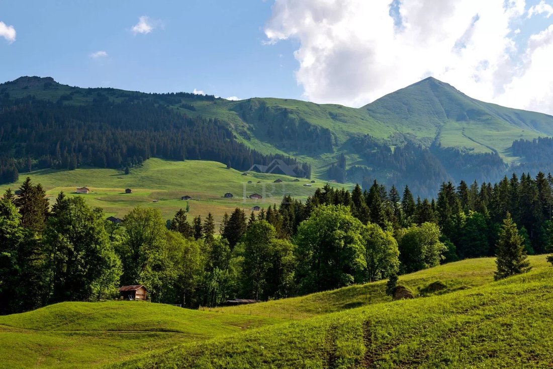 Chalet in Lauenen, Canton of Bern, Switzerland 4 - 15763502