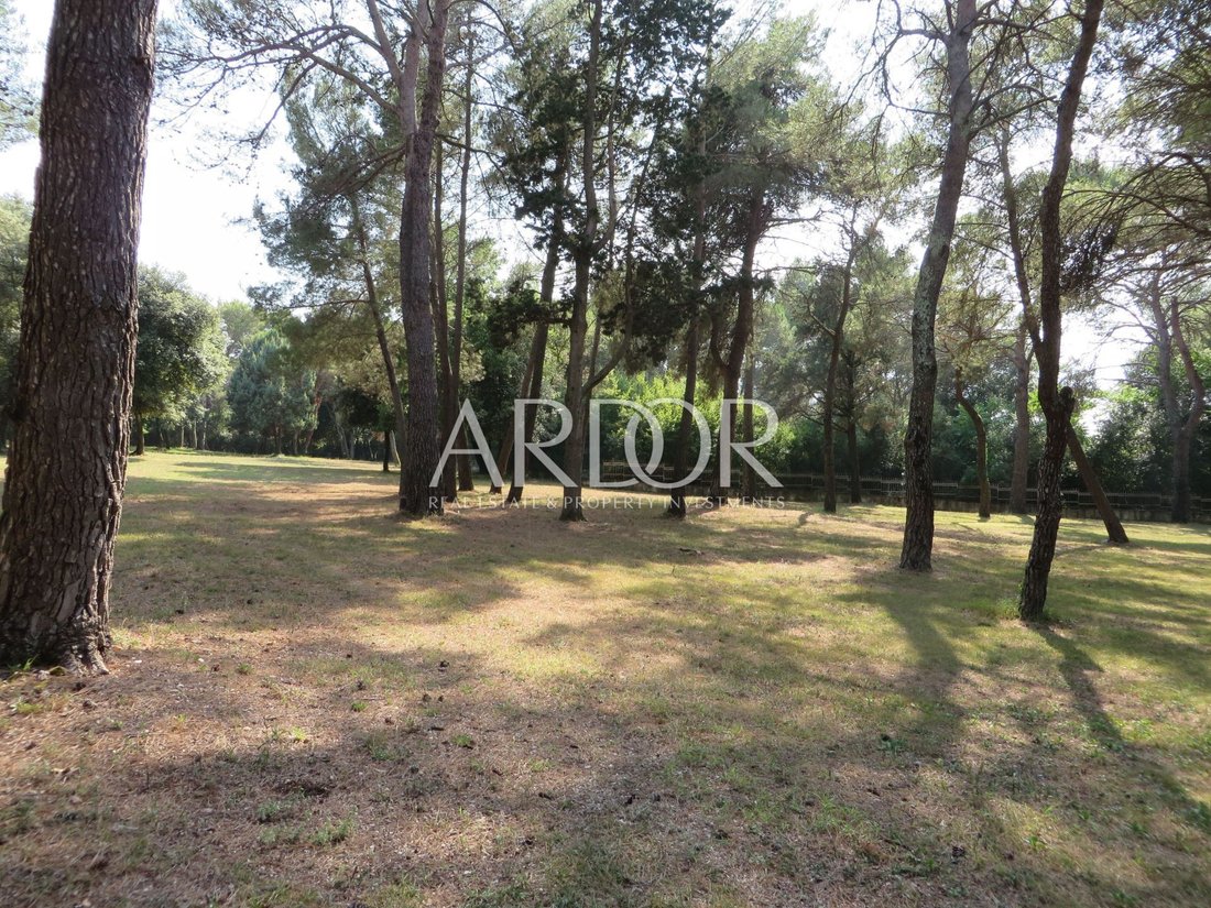 Land in Rovinj, Istria County, Croatia 4 - 15767906