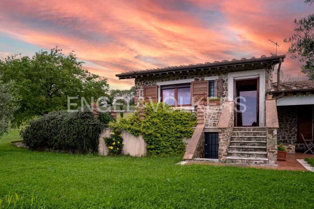 Country House in Scansano, Tuscany, Italy 3 - 15688824