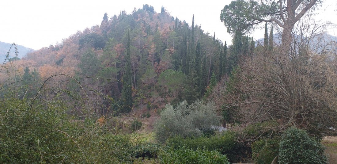 Country House in Dicomano, Tuscany, Italy 3 - 15768894