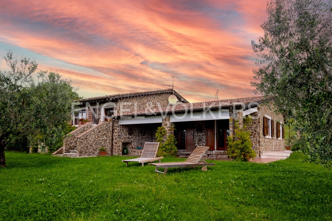 Country House in Scansano, Tuscany, Italy 4 - 15688824