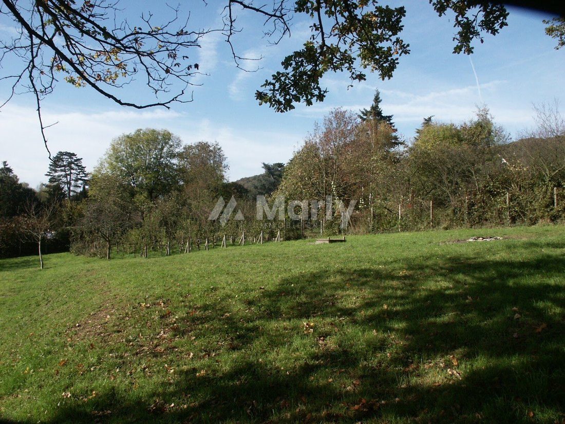 Land in Gif-sur-Yvette, Ile-de-France, France 2 - 15768089