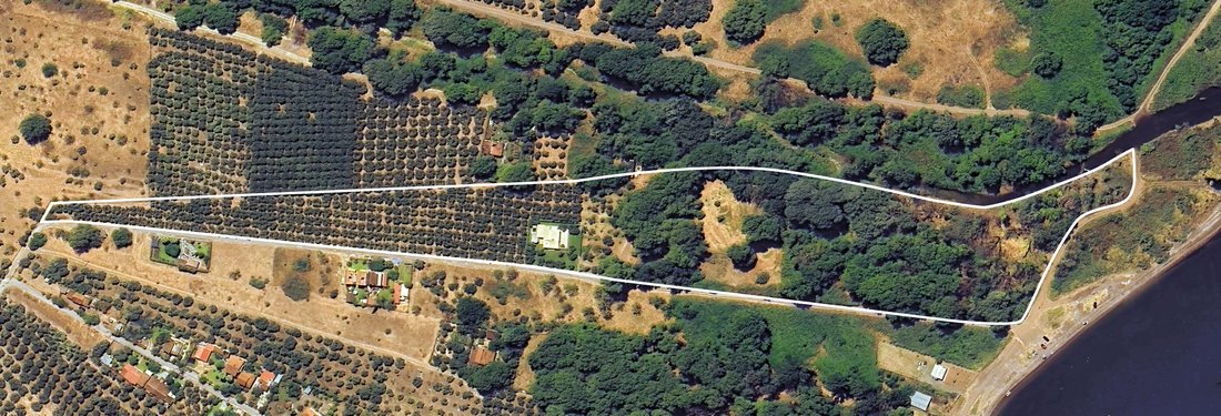 Land in Axinou, Municipal unit of Echinei, Thessaly and Central Greece 2 - 14753496