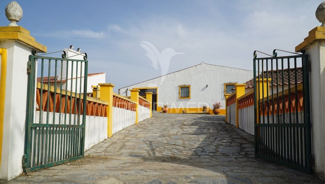 Farm Ranch in Redondo, Évora District, Portugal 4 - 15769144