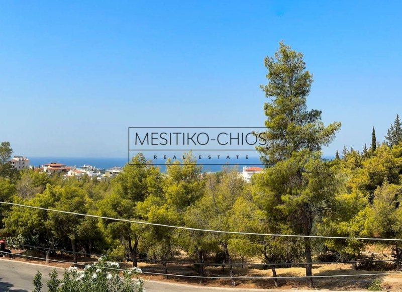 House in Voula, Attica, Greece 5 - 15769012