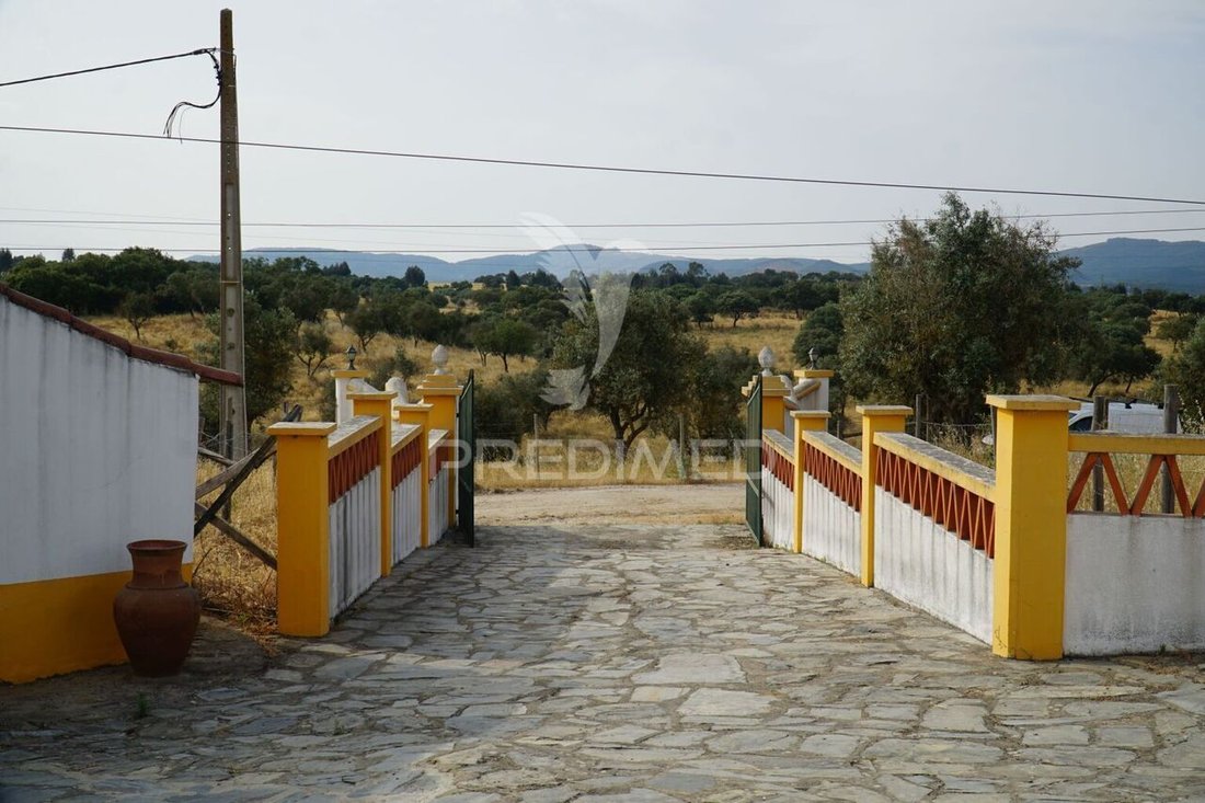 Farm Ranch in Redondo, Évora District, Portugal 5 - 15769144