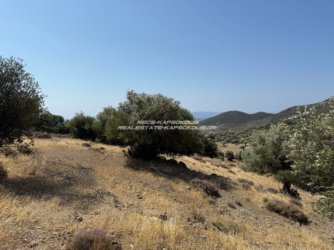 Land in Aianteio Community, Salamina, Greece 5 - 15730841