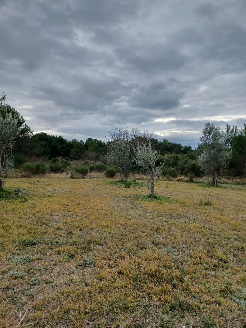 Land in Fazana, Istria County, Croatia 1 - 13769723