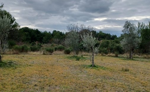 Terreno a Fasana, Regione istriana, Croazia 1