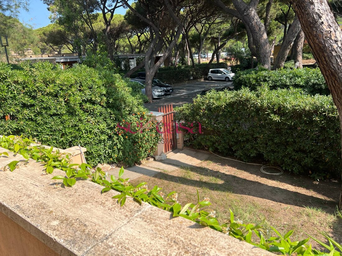 House in Castle of Castiglione, Castiglione della Pescaia, Tuscany 5 - 15771954