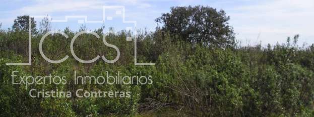 Villa in Cabezas Rubias, Andalusia, Spain 4 - 10863607