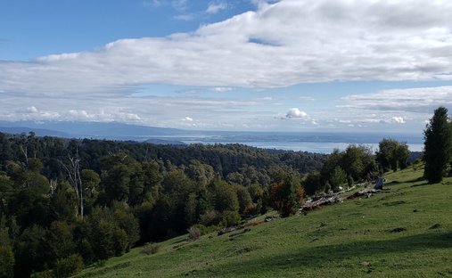 Azienda agricola a Ignao, Los Ríos, Cile 1